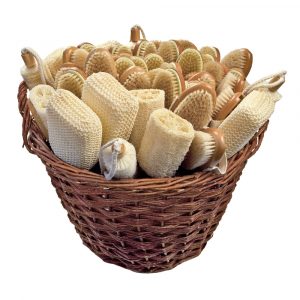 Bürstensortiment Nymphe